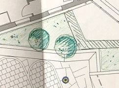 Bäume auf den Dächern Bäume auf den Dächern